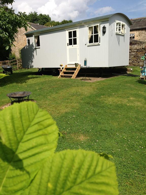 Posh Huts Farmstay Falstone 客房 照片